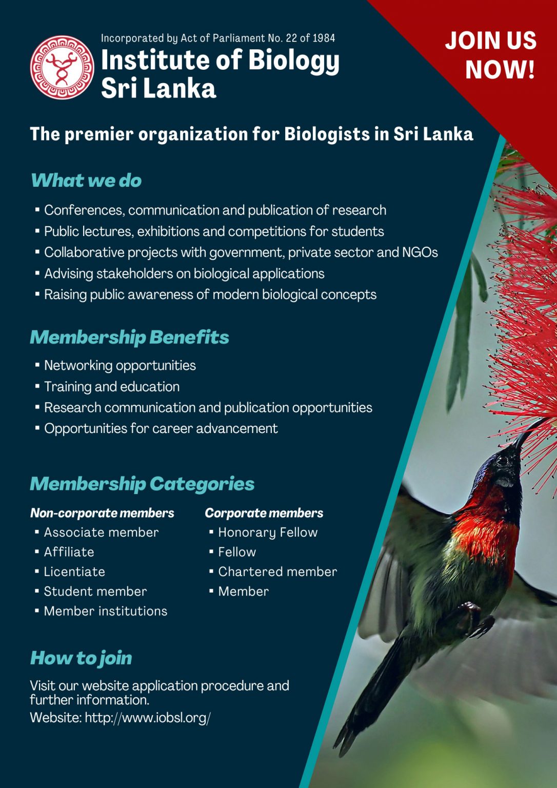 how-to-join-the-institute-institute-of-biology-sri-lanka