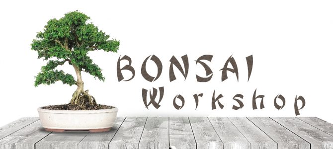Bonsai Workshop Bonsai Workshop